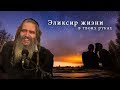 Рав Шалом Аруш | Эликсир жизни - в твоих руках