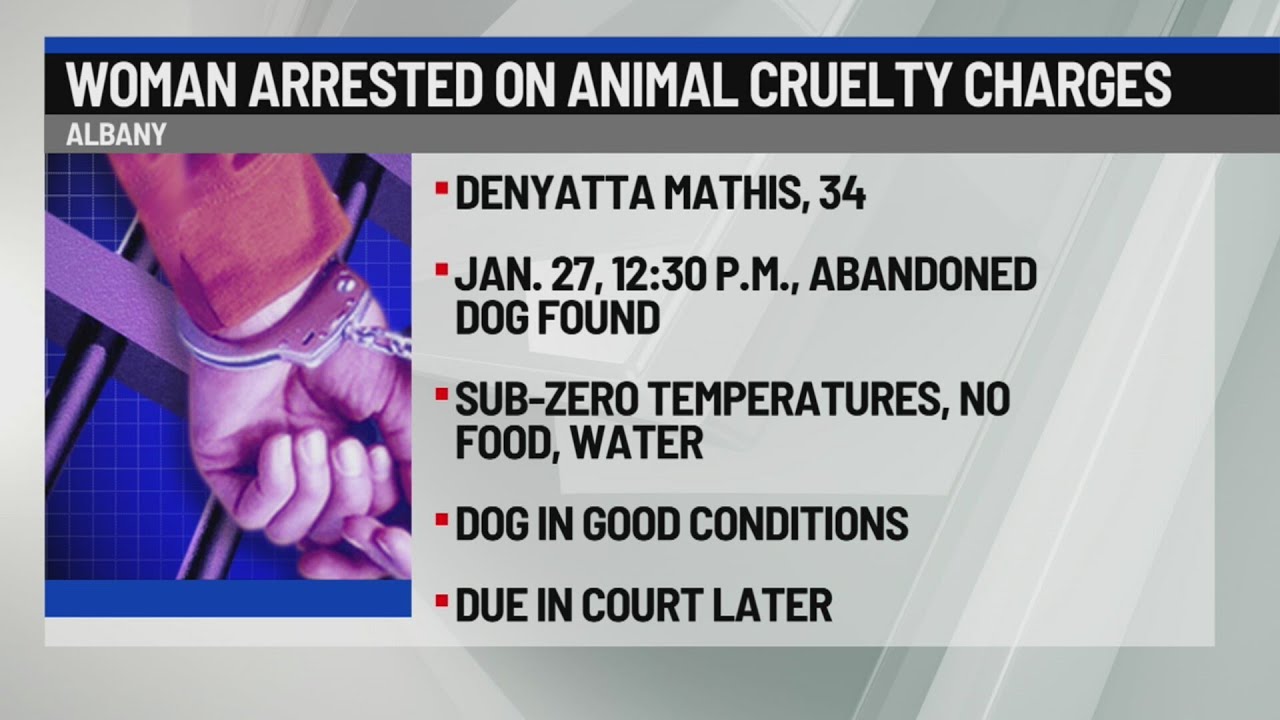 Albany woman arrested on animal cruelty charges - YouTube
