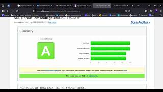 Task 4: Use Online Tools for Vulnerability Assessment