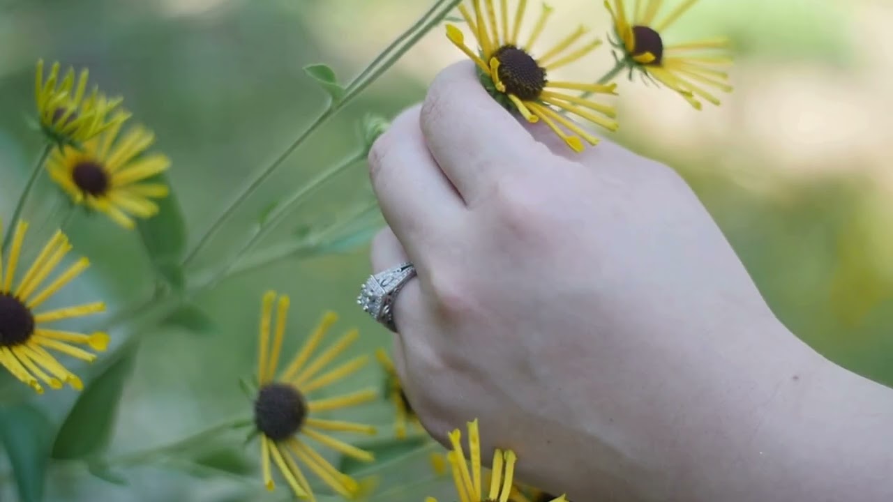 Mystic Fusion | Culture of Subcontinent