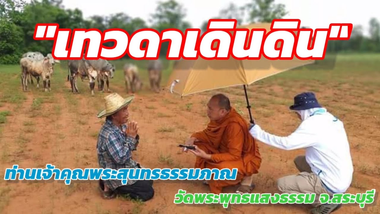 เทวดาเดินดิน ท่านเจ้าคุณพระสุนทรธรรมภาณ เจ้าคณะจังหวัดสระบุรี วัดพระพุทธแสงธรรม