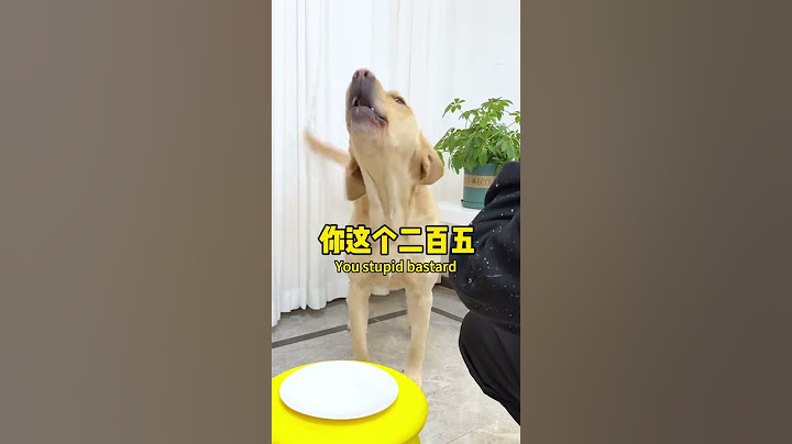 【旺仔很忙🐶Wangzai is busy】这狗子玩不起，骂得还真难听This dog can't handle it, and the scolding is really harsh.