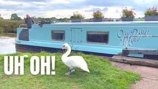 A Not So Friendly Encounter On The Shropshire Union Canal | More Narrowboat Adventures Ep 46