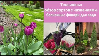Садовый влог май: Обзор тюльпанов с названиями/ Покупки для сада, садовые фонари, молодые розочки.🌷