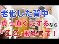 老化して丸くなった猫背の背中を根本から改善する！座ったまま簡単にできる猫背矯正法