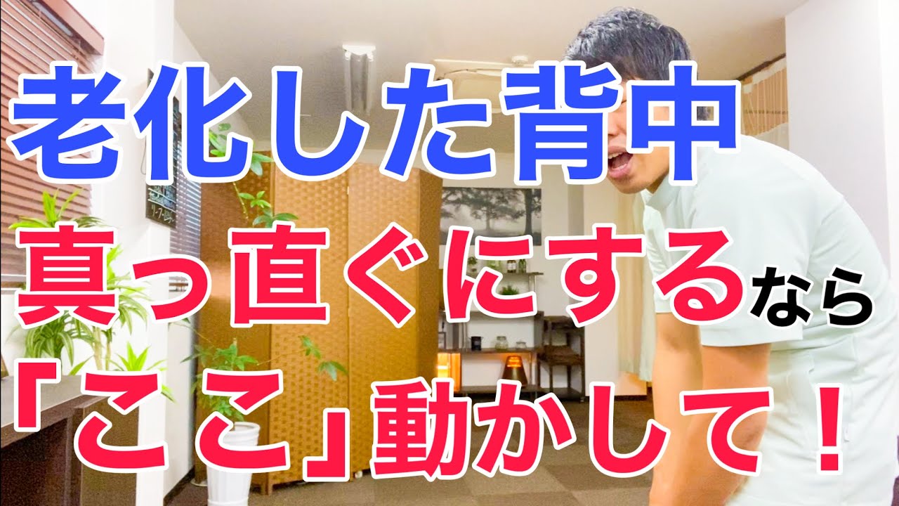 老化して丸くなった猫背の背中を根本から改善する！座ったまま簡単にできる猫背矯正法