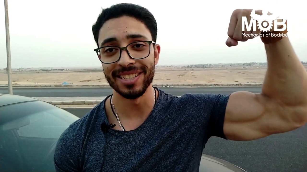 اساسيات البناء العضلي | ازاي تطلع عضلات؟