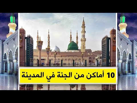 فيديو: المشي في المدينة: متاحف لفيف