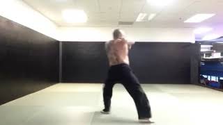KOREAN KARATE- Form #2 Kicho Dul/Basic Form Number Two