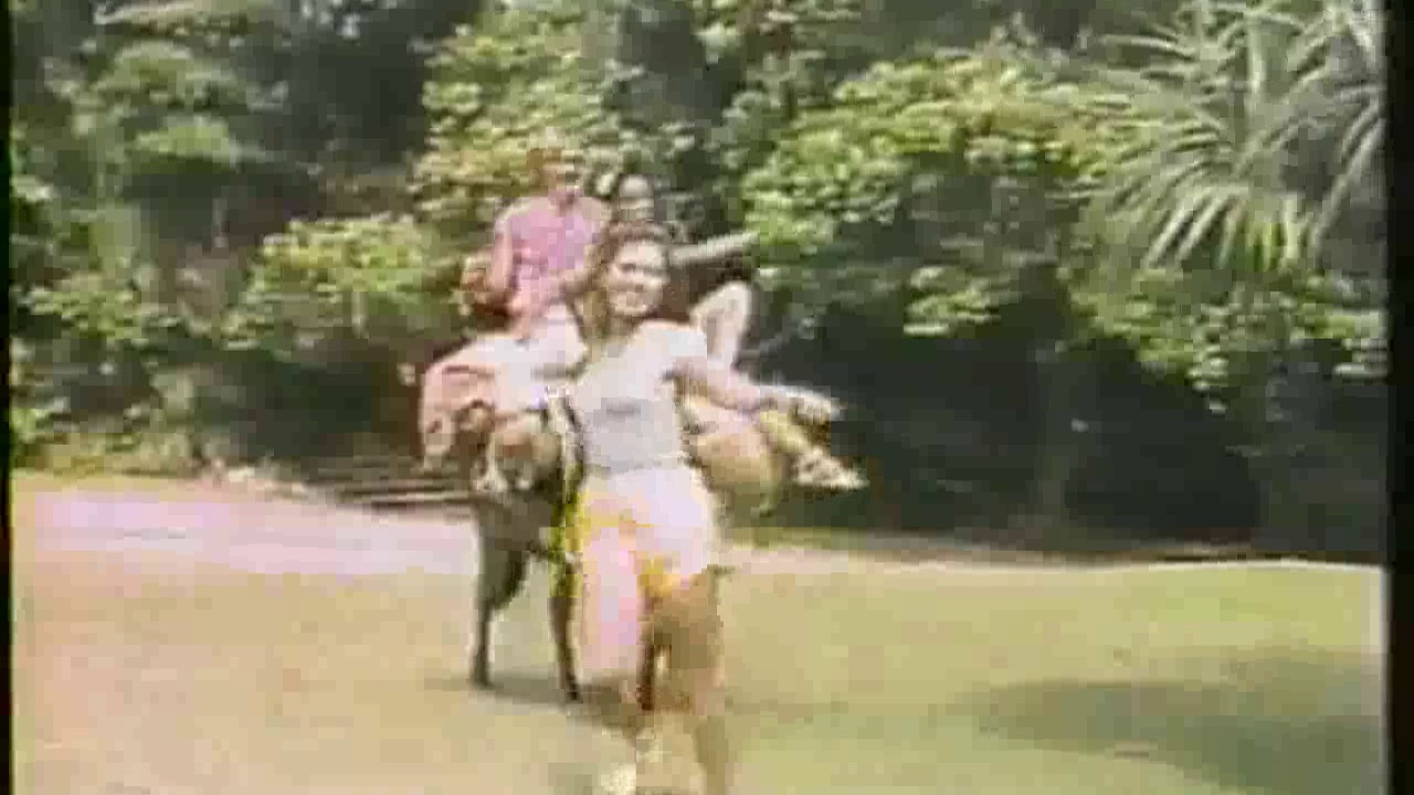 Los Van Van Voy Detras De Ese Mulo