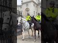 Met Police Horses #london #police #respect #history