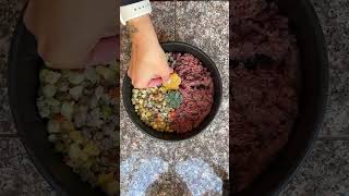 Half Raw Food Diet For Dogs