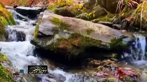 تلاوة مؤثرة لسورة الرحمن كاملة | بصوت يريح القلب والروح