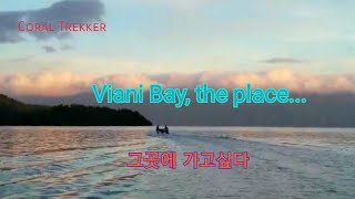 Viani Bay, A Place We Want To Go Back To. 그곳에 가고싶다.