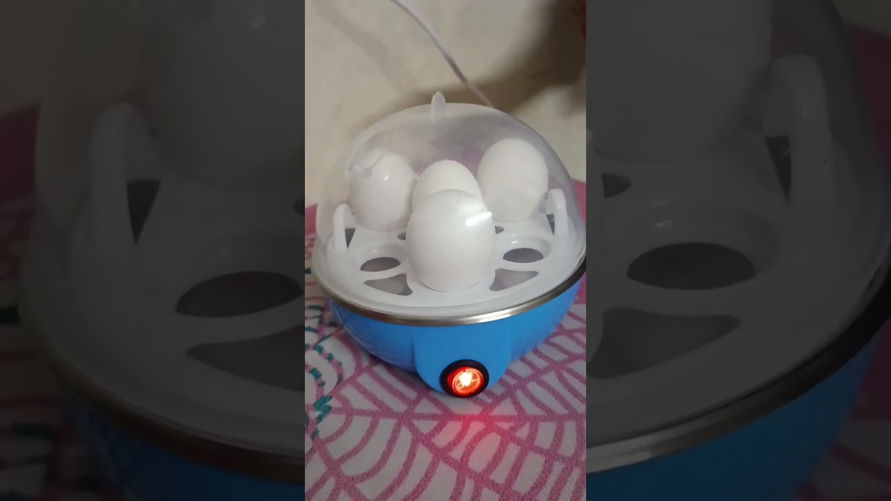 Egg Boiler | Electric Egg Poacher | Portable | Hostel- Friendly Egg Boiler