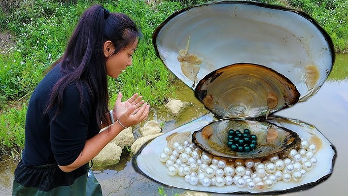 pearl #seafood #hunting pearls #picking pearls 