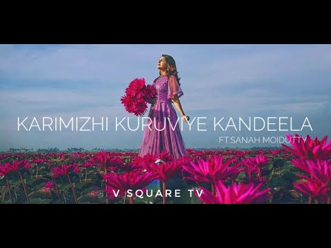 Karimizhi KuruviyeSanah MoiduttyCover SongLyrics VersionV SQUARE TV