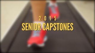 Senior Capstones - Molly Schonfeld | McDaniel College