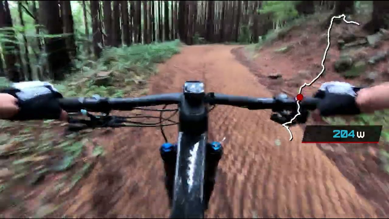 전 MTB 국가대표 구남우 2100만원 스캇 SPK RC SL 타고 비오는 날 백양산 - 금정산 훈련 부산 명지 SCOTT 구프로바이크