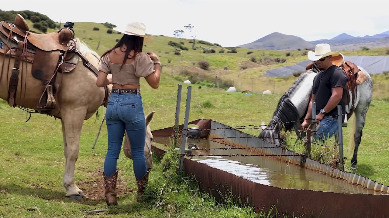 Waylon Nihipali   Drinking For Two  Official Music Video 