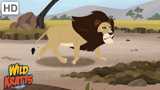 Amazing Adaptations Part 6 | How Animals Survive in the Wild | Wild Kratts