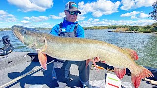 HUGE Musky on Lake of the Woods Figure 8 Slow Motion