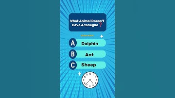 #quiz #quiztime #quizzes #generalknowledge #quizz #mreaglequiz #knowledge #learn #LearnOnTikTok