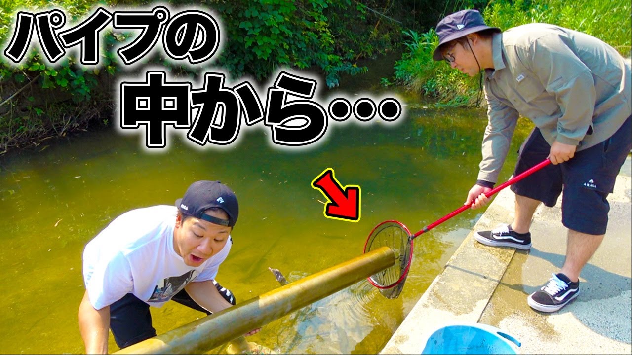 近所の川にザリガニを釣りに行ったら面白すぎて大興奮！？