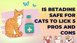 Is Betadine Safe For Cats To Lick 5 Pros And Cons by Traveling With Your Cat 2,702 views 10 months ago 3 minutes, 13 seconds