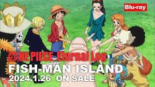 ONE PIECE Eternal Log “FISH-MAN ISLAND”告知PV