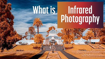 What is Infrared Photography? An intro for everyone.