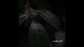 (توكل على الله) #explore #islam #reels #عبدالرحمن_مسعد #اسلام_صبحي #تلاوة_خاشعة #تلاوة_هادئة