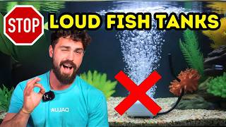 Quiet Your Aquarium FAST | Stop the Noise!