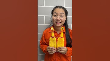 Thumbnail of Su Hao comedy: A cheerful song about chicken 🐥