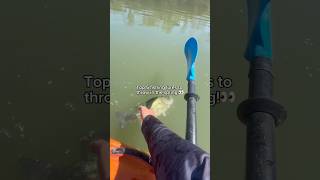 Top 5 lures for SPRING!😳 #fishing #shorts