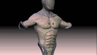 Zbrush Turntable Assasine TiceArts