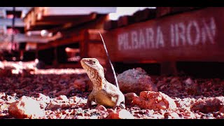 Chapter 21 Biodiversity and Conservation