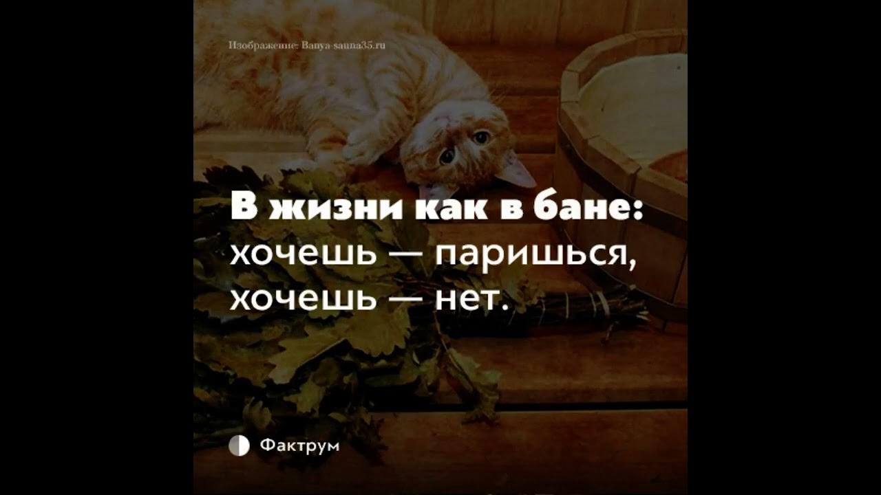 Женская баня. Русская баня на дровах с веником. Веник для бани. После бани. В жизни как в бане.