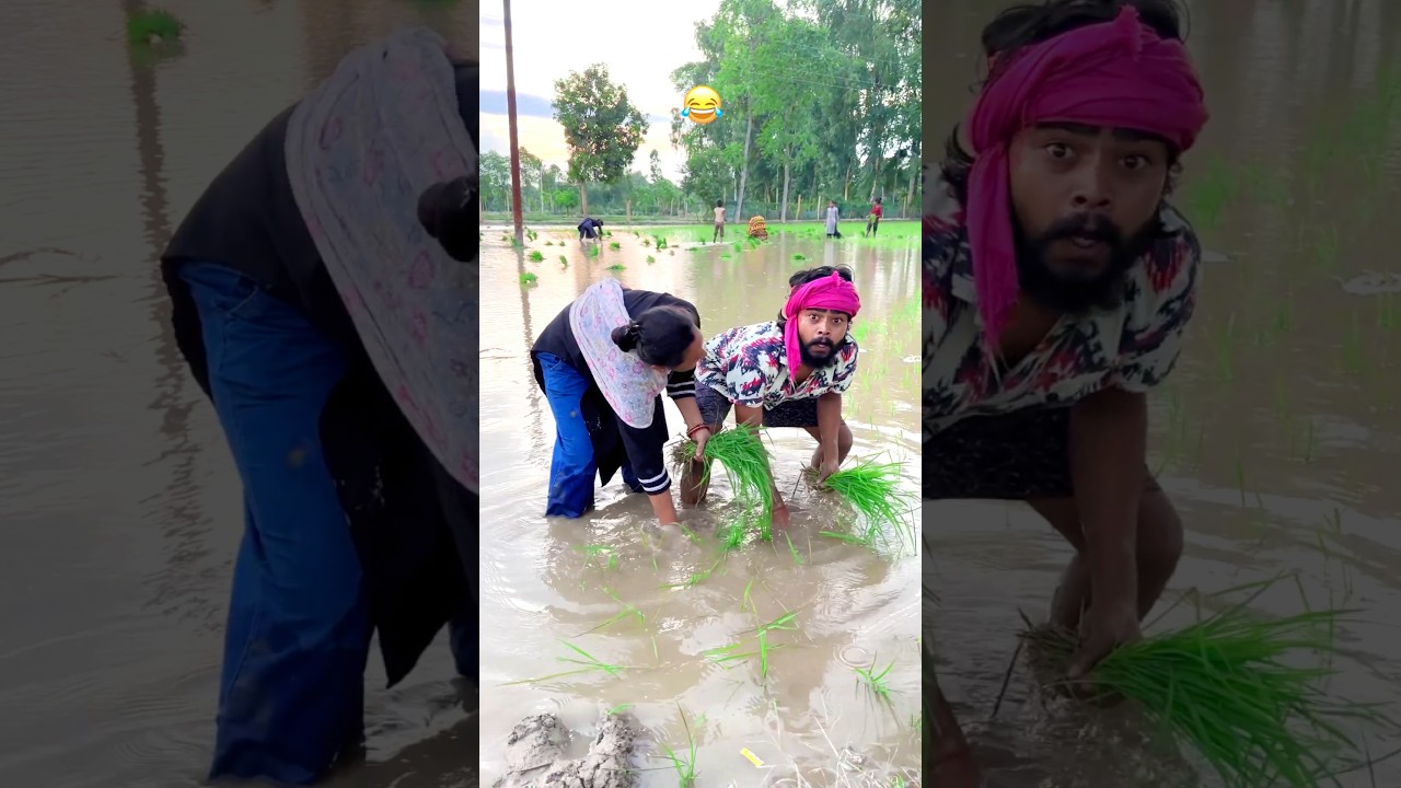 गर्लफ्रेंड के खेत में धान 😱😜 Upboyraj Comedy 🤣😜@YouTube #upboyraj #upboyrajcomedy #comedy #funny