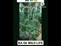 👑 KING ABHIMANUYU👑 VS  KARADI #KARNATAKA#BHEEMA#PRASHANTA