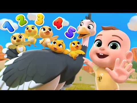 Cinco Patitos (Aprende los Nombres de Aves) + Más Lalafun Canciones Infantiles y Música para Chicos