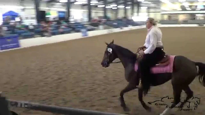 Tracie Dunn & Dixie Lake Retired Racehorse Project...
