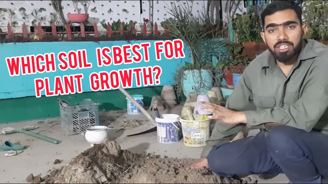 Which Soil Is Best for Plant Growth?by mubashar ali YouTube