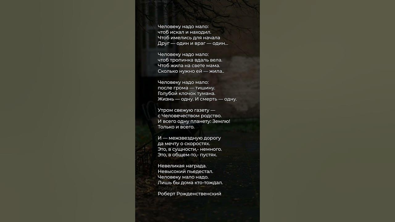 Человеку надо мало... | Стих #стихи #поэзия #стих - YouTube
