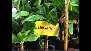 Armstrong Garden Center Commercials