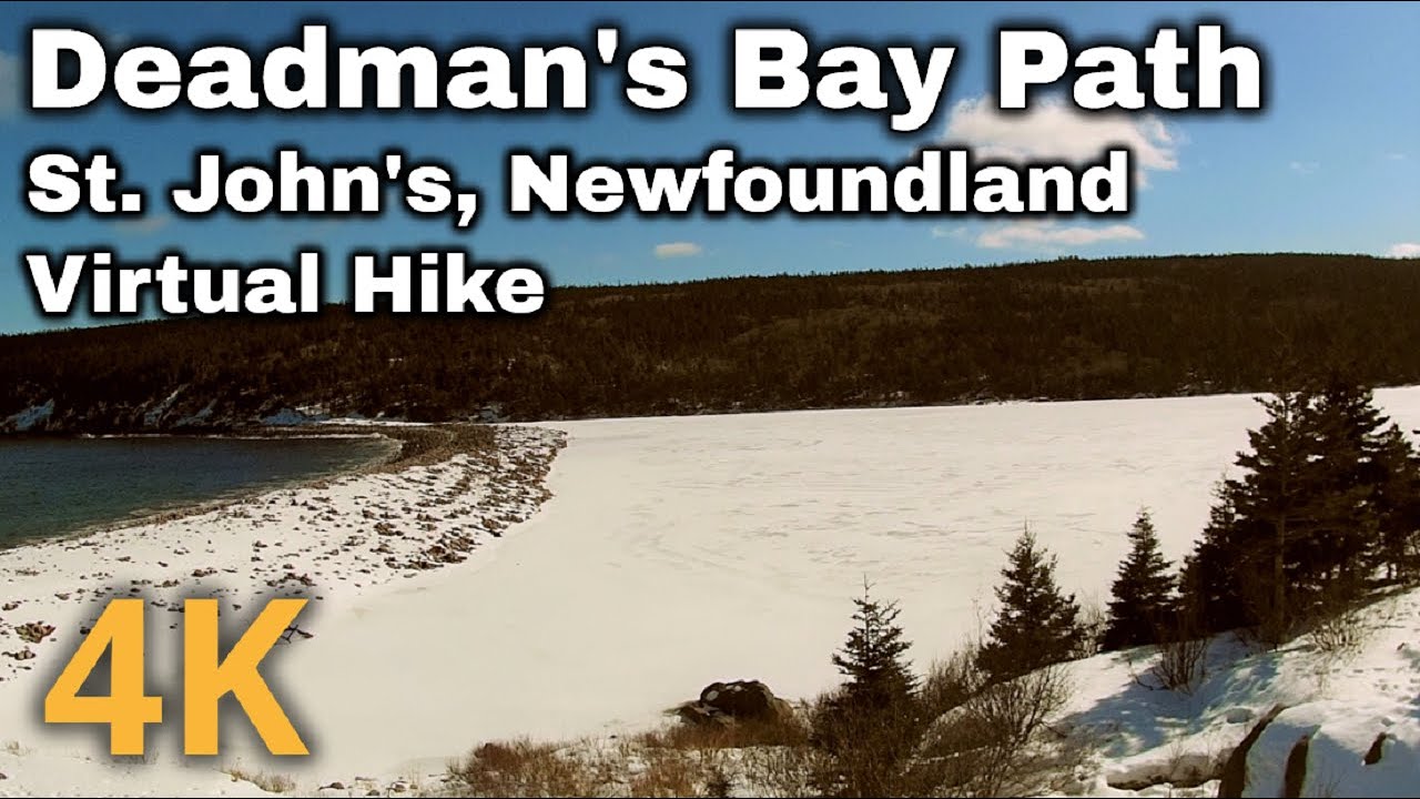 4K Virtual Hike Deadman's Bay Path St. John's, Newfoundland and