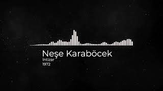 Neşe Karaböcek - İntizar - 1972