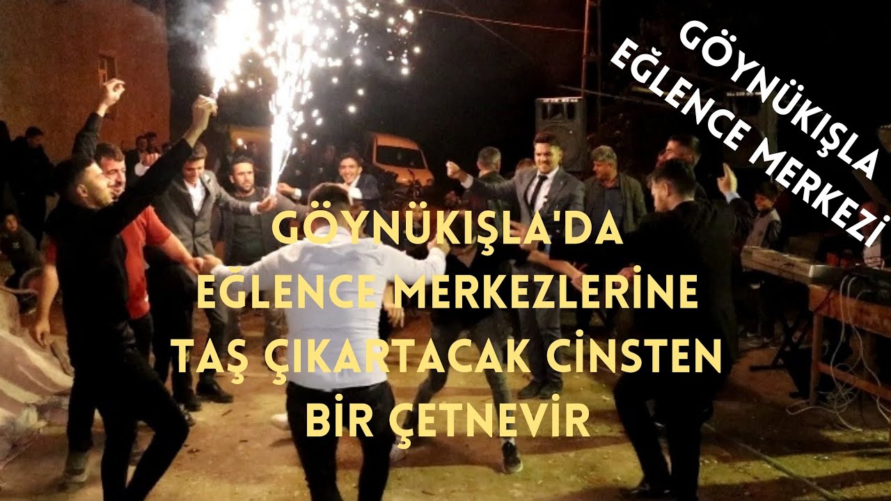 GÖYNÜKIŞLA'DA ORHANIN ÇETNEVİRİ