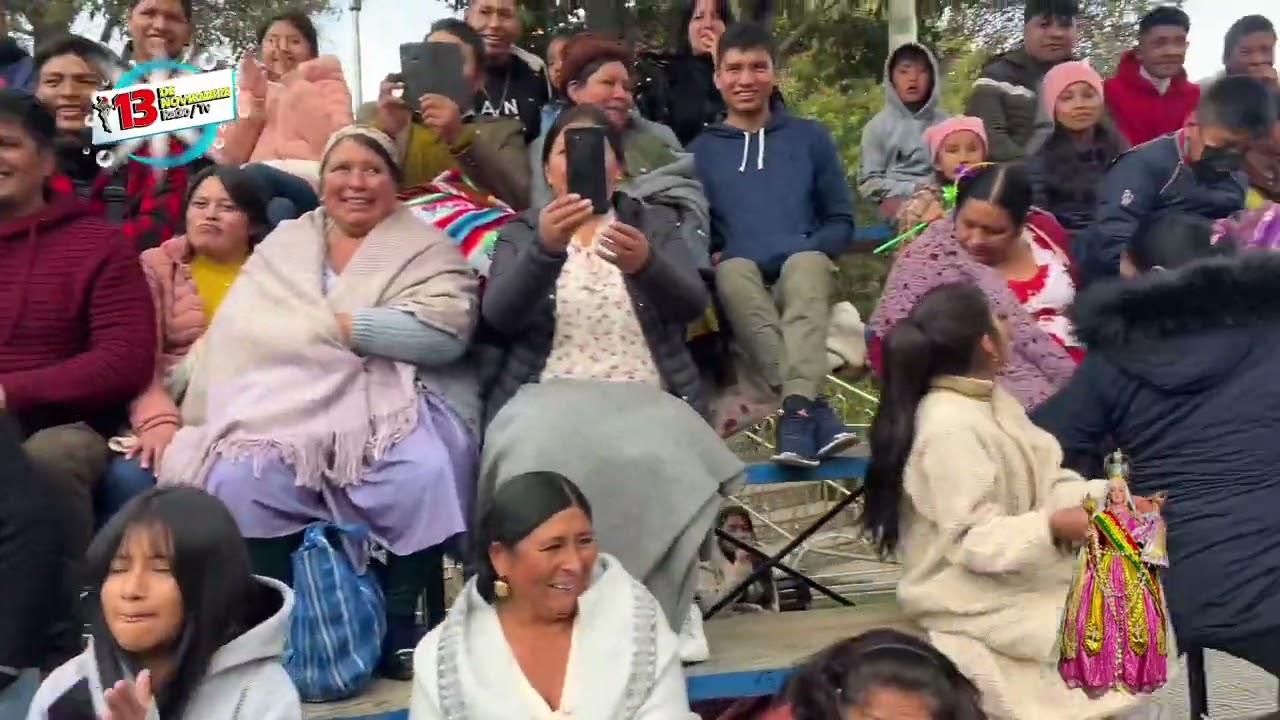 Ovejitas del municipio de Colomi 2024