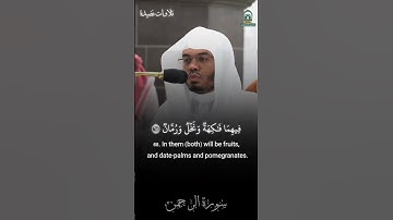 تلاوة الشيخ ياسر الدوسري - صلاة العشاء 10 شوال 1445 - سورة الرحمن #اكسبلور #ياسر_الدوسري #قرآن #لايك